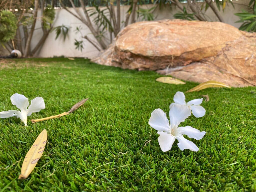 Tranquil scene of white flowers resting on a green lawn, with a large rock and glimpses of a garden in the background landscaping in Ibiza